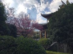 -天龙八部武侠城