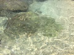 -白沙湾海滩