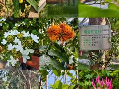-广州神农草堂中医药博物馆