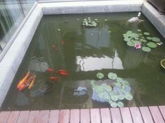 android_upload_pic-西津云缦酒店