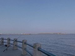 -大湾区中央湿地公园-十九涌