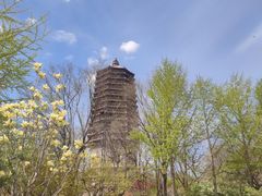 -玲珑塔公园