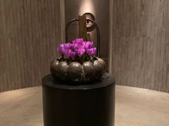 -当米亚诺意大利餐厅(武汉光谷凯悦酒店)