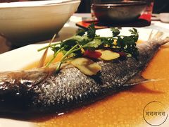 鲥鱼-知味观(湖滨总店)