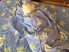 -柯达靓之彩影像网络(明瓦廊店)