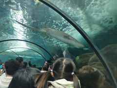 -洛阳龙门海洋馆