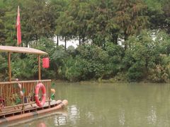 -合肥滨湖国家森林公园