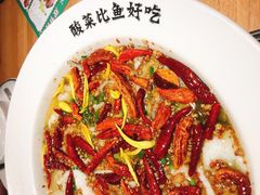 -太二酸菜鱼(汕头苏宁广场店)