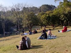 -飞凤山奥体公园