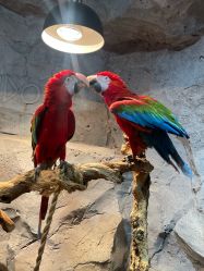 -Zoolung Zoolung动物主题公园(海信广场店)