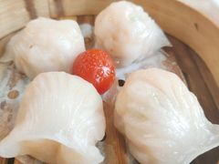 金牌虾饺皇-点都德(千灯湖环宇城店)