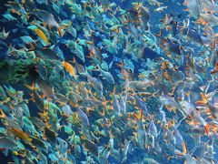 -成都浩海立方海洋公园