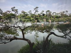 -罗红摄影艺术馆