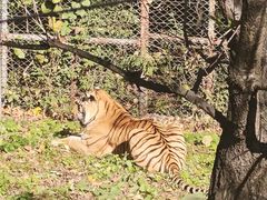 -哈尔滨北方森林动物园