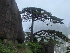 -黄山风景区