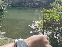 -云溪植物园