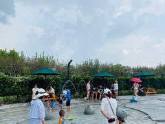 -季高兔窝窝亲子园(上海薰衣草公园店)