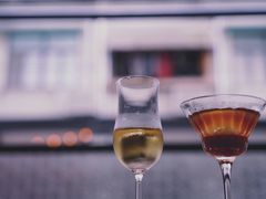 冰萃茶-茶是一枝花泡茶店