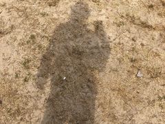 -东姑阿都拉曼海洋公园