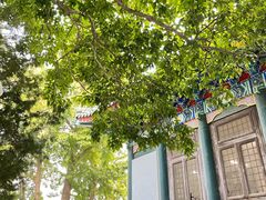 -国家图书馆·古籍馆