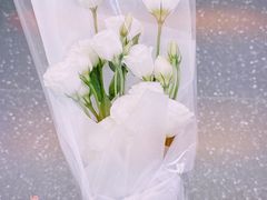 -亭亭鲜花店(中山北路店)