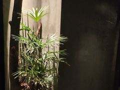 -森SPA·泰式按摩·精油Massage(宝安中心店)