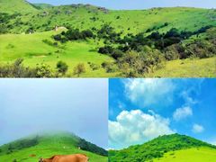 -大姆山草场