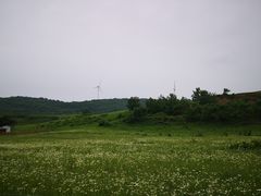 -御道口草原森林风景区