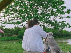 -艾溪湖湿地公园