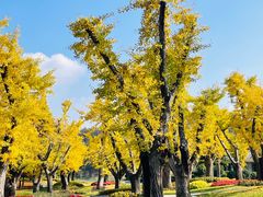 -南京银杏湖乐园