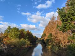 -上海长兴岛郊野公园