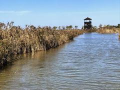 -盐城丹顶鹤湿地生态旅游区