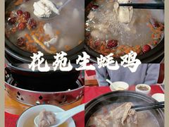 -花苑美食横琴生蚝火锅(拱北粤华路店)