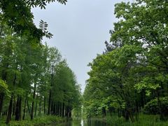 -西溪国家湿地公园