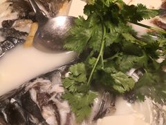 白汤有机鱼头-千岛湖小鱼儿·淳安匠心农家菜