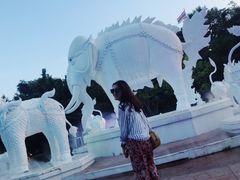 -清迈夜间动物园