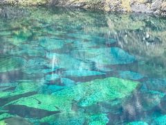 -叠溪松坪沟景区