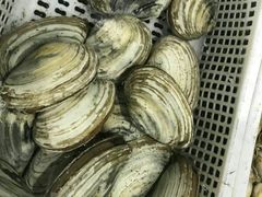 -常家活海鲜小吃(仅一家无分店)