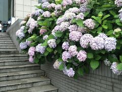 -公益图书馆(江南大学店)