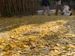 -青岛崂山太清宫