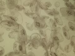 -沈阳海洋探索中心