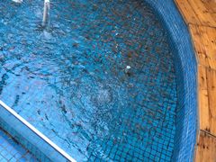 -泰国鱼疗足疗馆