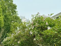 -南京航空航天大学(明故宫校区)