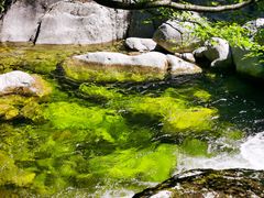 -青峰峡国家森林公园