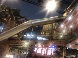 -卡通尼·Safari非洲探索乐园·生日会(金桥国际商业广场店)