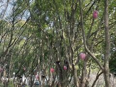 -天目湖山水园