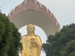 -庐山风景名胜区-东林大佛