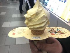 -野人先生现做冰淇淋(西安赛格店)