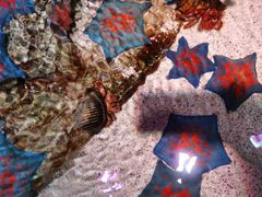 -沈阳海洋探索中心