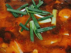 -大理.老字号渝记酸萝卜乌鱼(古城总店)